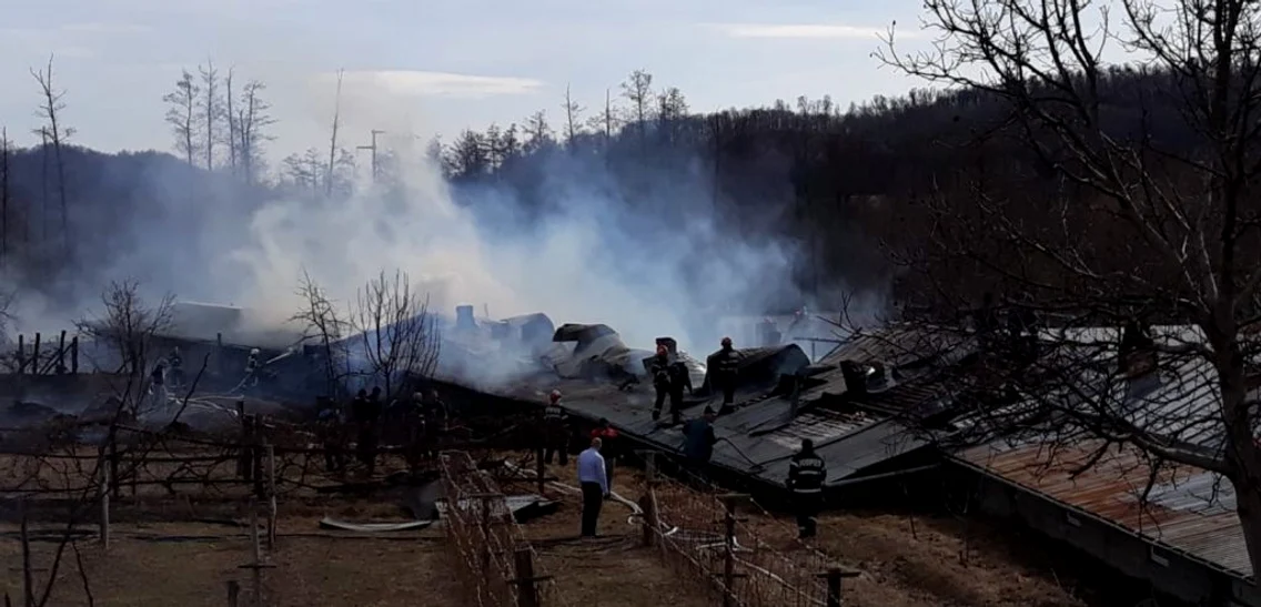Incendiu la ferma de pui Gătejeşti - Vâlcea Foto ISU Vâlcea
