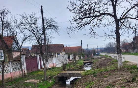  Săcălașu Nou FOTO: Facebook