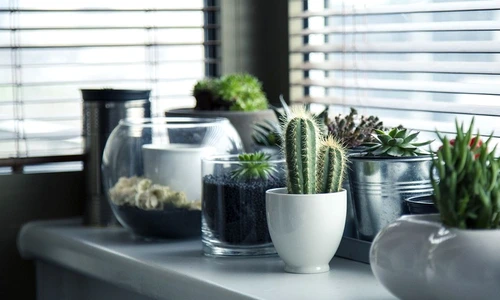 1 81834 original jpg jpeg