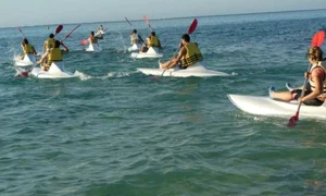 CLIIMA20121219 0033 1 jpeg