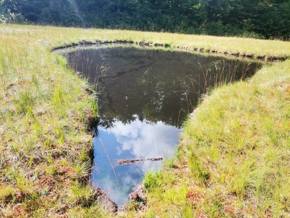 Turbăria văzută dinspre sud  FOTO Tyekar Janos