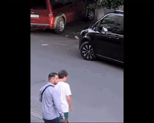 nicusor fagaras gif gif
