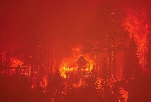 Incendiile de vegetaţie de lângă San Diego, California, au pârjolit totulFoto: Gettyimages