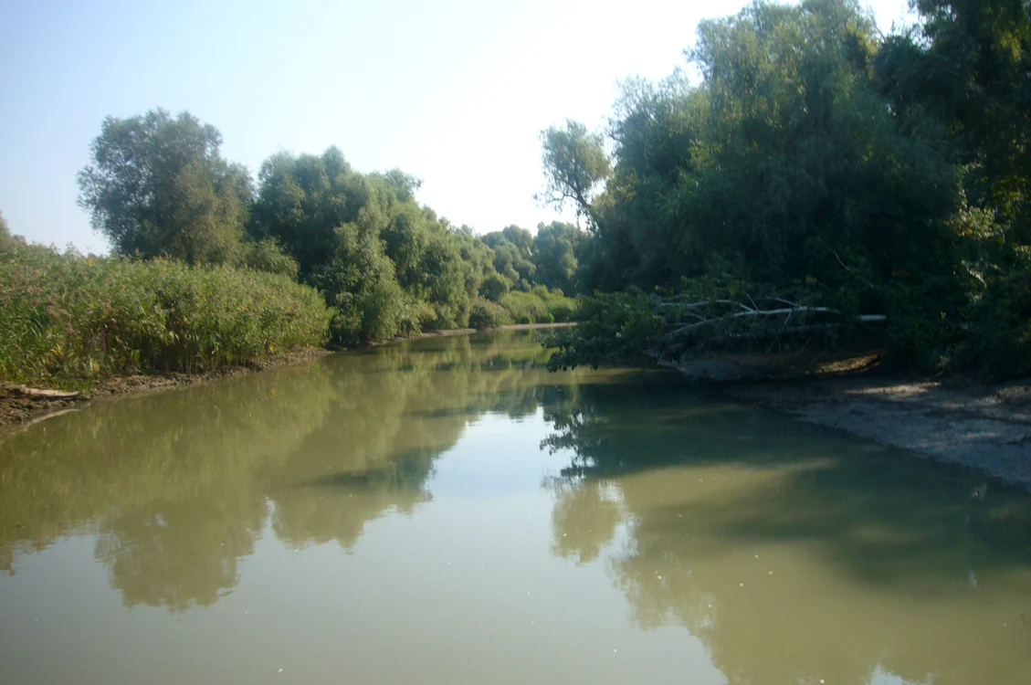 Delta Dunării, sălbăticie la capătul pământului