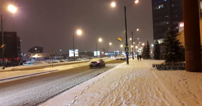 Prima ninsoare din 2019. Timişoara a îmbrăcat din nou haine albe FOTO Ş.Both