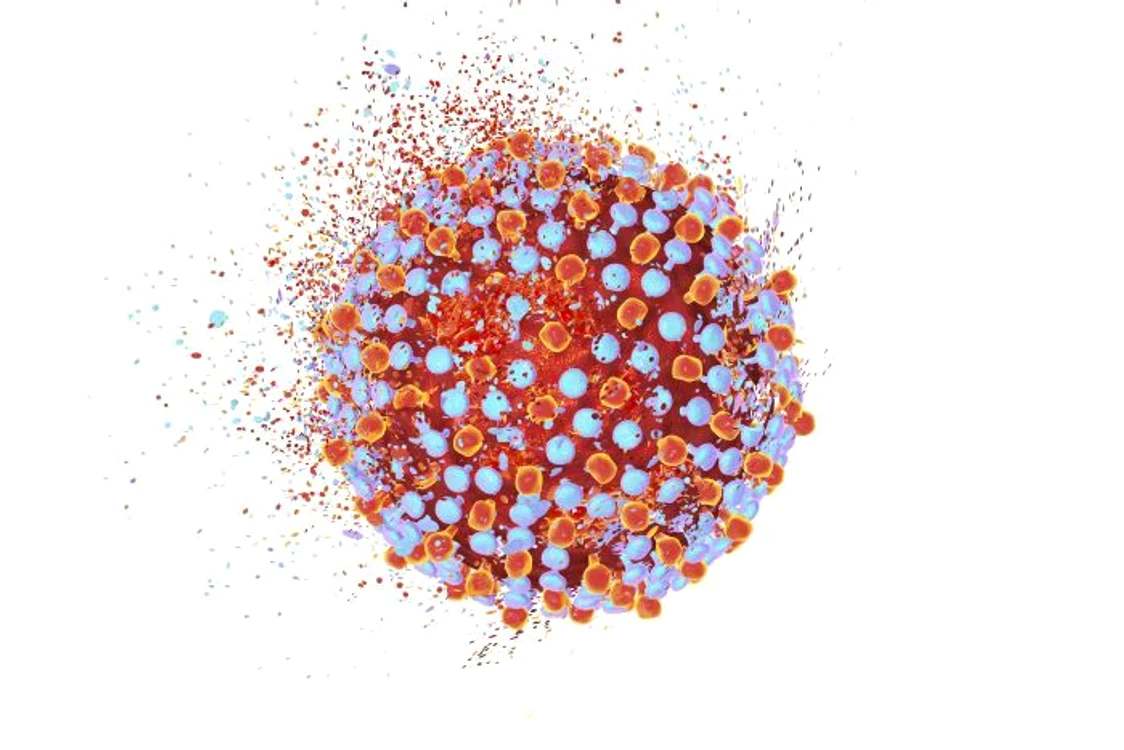 1 virus hepatita c 525545368 jpg jpeg
