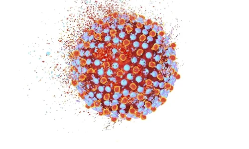 1 virus hepatita c 525545368 jpg jpeg