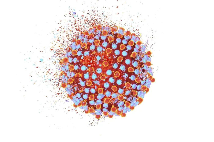 1 virus hepatita c 525545368 jpg jpeg