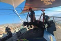 jais flight jpg
