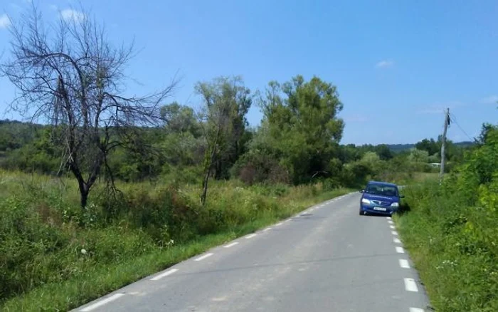 Forţele de ordine îl caută pe bucătarul criminal de la Făget FOTO Ş.Both