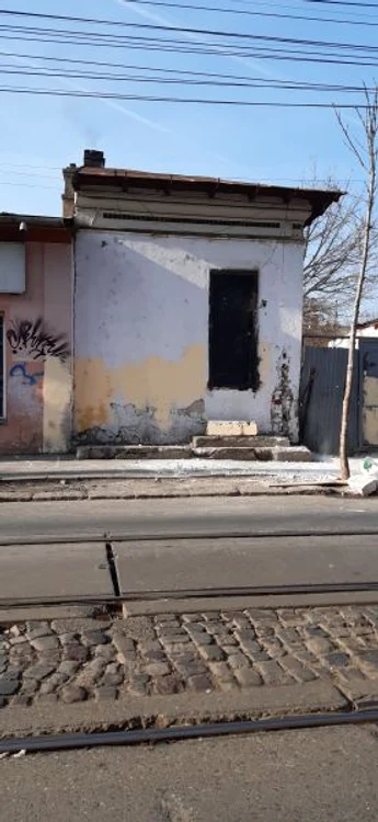 d calinescu 83975523 759051791251057 443745369503825920 n jpg jpeg