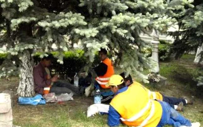 Hunedoara: Angajatorii din judeţ sunt campioni la oferta de joburi