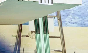 Cântăreaţa, înlocuită  cu un puşti de 10 ani jpeg