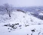 mina de fier ghelari foto daniel guta adevarul