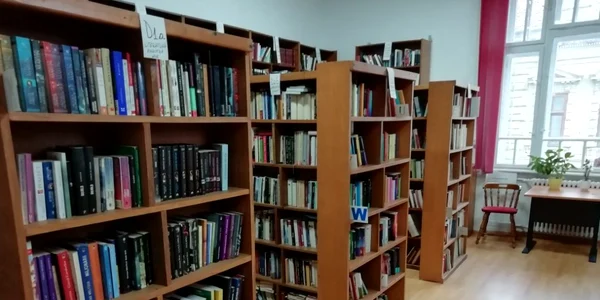 biblioteca Arad jpg