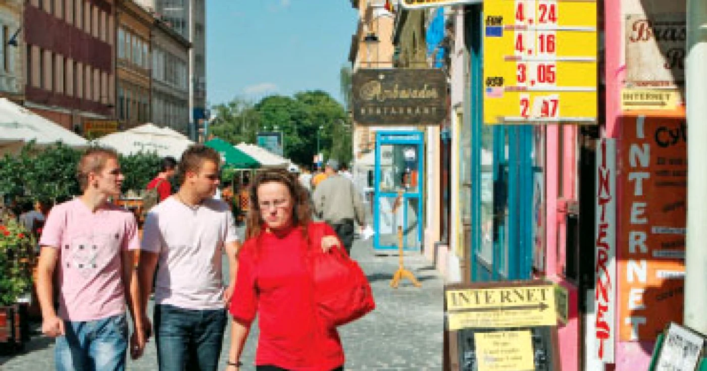 Leul se depreciază din cauza frământărilor sociale / Cât va mai creşte euro?