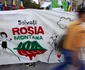 proteste rosia montana