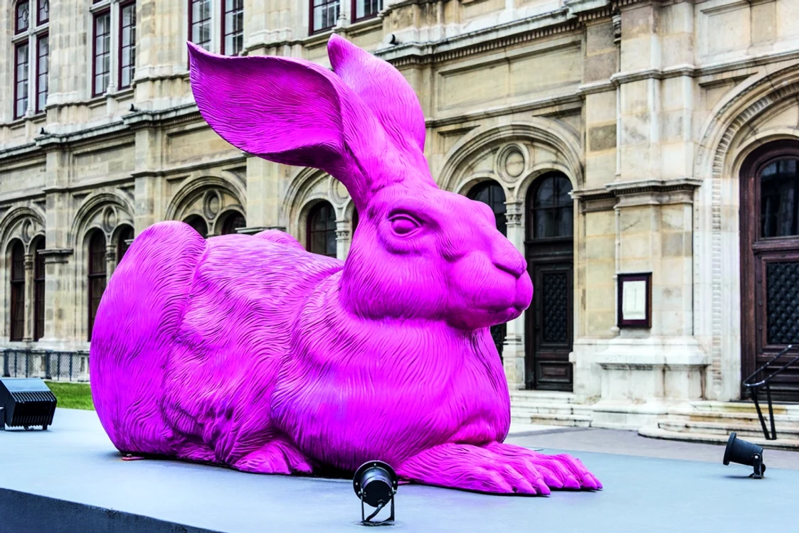 Iepurele roz Viena shutterstock 1357933583 jpg jpeg