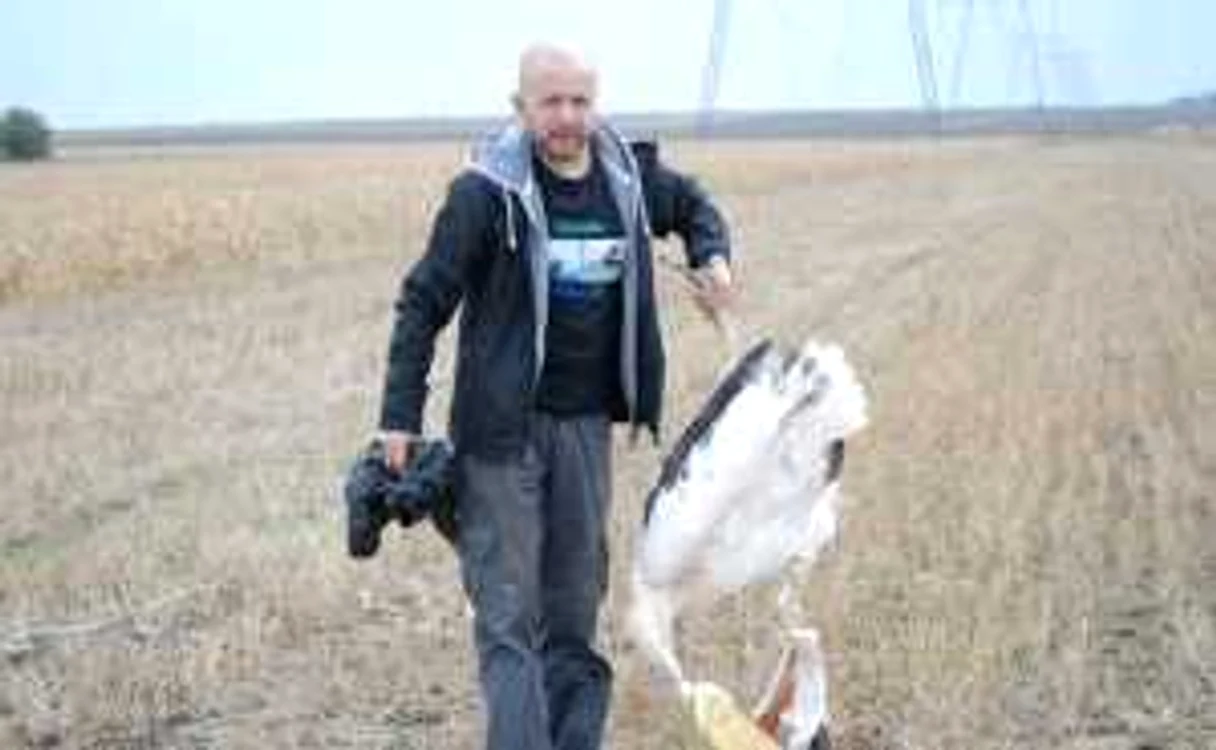 Răzvan Popescu-Mirceni și unul dintre pelicanii electrocutați mortal
