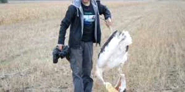 Răzvan Popescu-Mirceni și unul dintre pelicanii electrocutați mortal