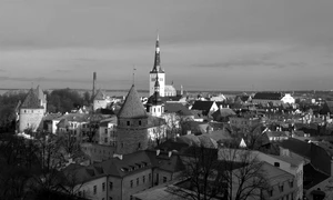 Un leu în cuşcă – despre finlandizarea Europei jpeg