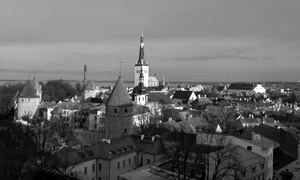 Un leu în cuşcă – despre finlandizarea Europei jpeg