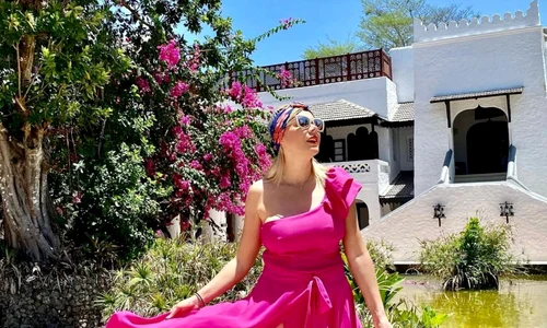 1 savuica dana png png