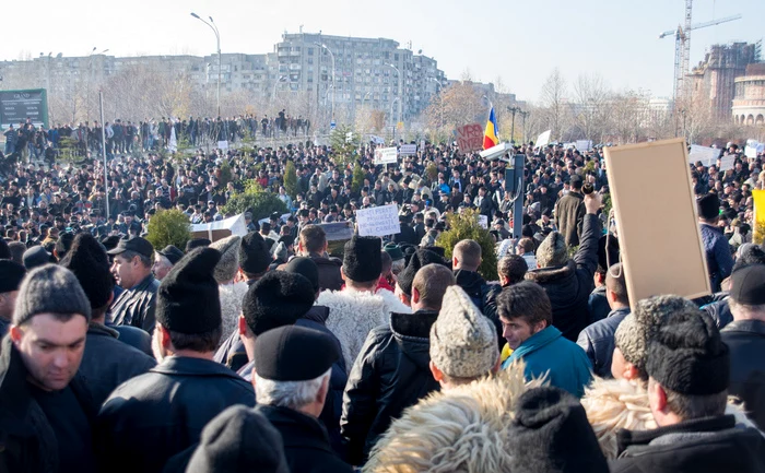 
    Crescătorii de animale vor protesta, miercuri, între orele 11.00 şi 13.45 în Parcul Izvor, după care vor porni în marş până în Piaţa Victoriei  