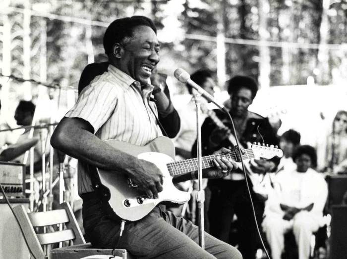 Muddy Waters