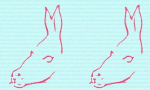 fish mermaid donkey horse seal optical illusion jpg