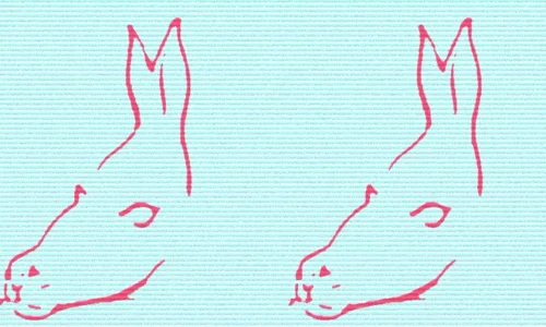 fish mermaid donkey horse seal optical illusion jpg