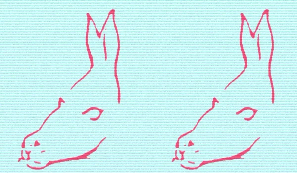 fish mermaid donkey horse seal optical illusion jpg