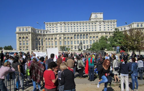 protest maidanezi