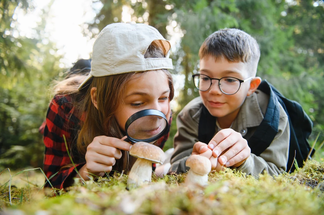 copii care exploreaza