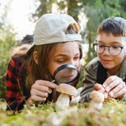 joaca copii natura explorare shutterstock 2669132463 jpg