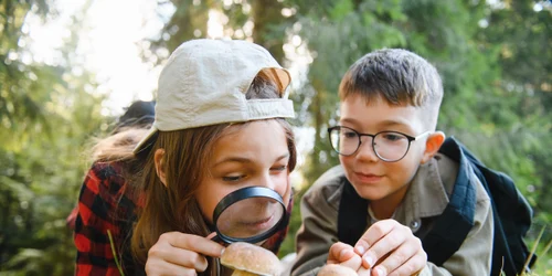joaca copii natura explorare shutterstock 2669132463 jpg