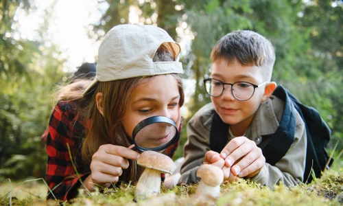 joaca copii natura explorare shutterstock 2669132463 jpg