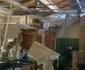 Ce a rămas în urma tragediei de la adăpostul de câini Danyflor