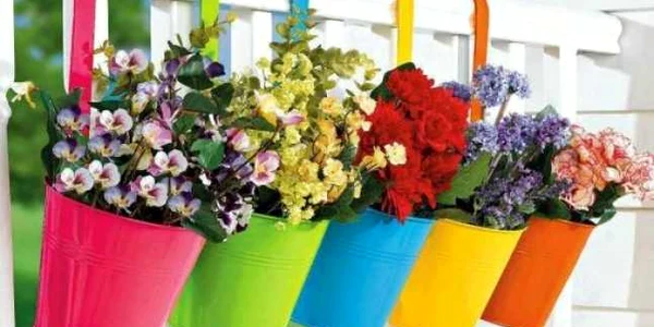 cele mai frumoase flori de balcon
