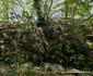 Cetatea dacică Bănița Foto Daniel Guță ADEVĂRUL (56) jpg