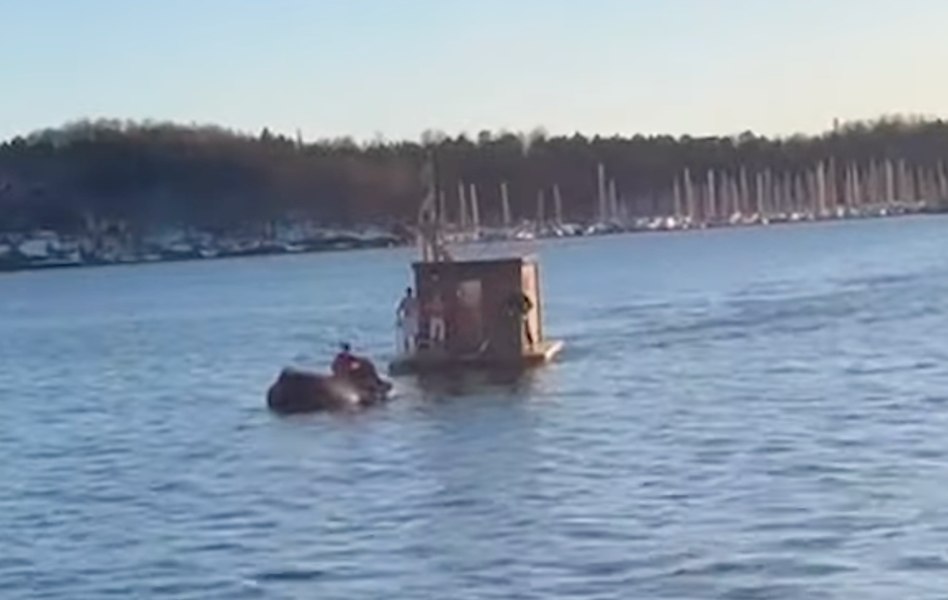 Accident spectaculos cu o mașină Tesla căzută în mare, filmat de niște români în Norvegia. Cum au fost salvați pasagerii | VIDEO