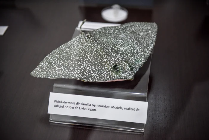 Proiectul este sprijinit de National Geographic