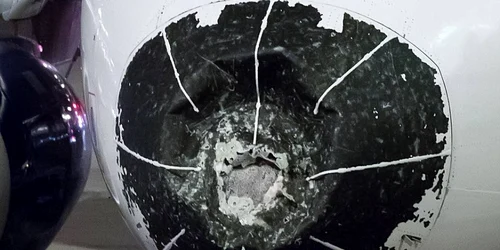 Avion avariat de grindina in SUA FOTO Twitter