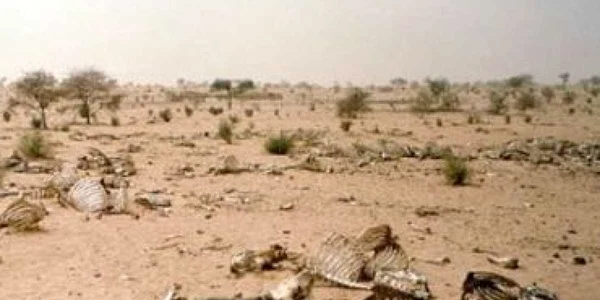 Africa cere 67 miliarde de dolari în compensaţie pentru efectele încălzirii globale - revista presei internaţionale