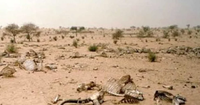 Africa cere 67 miliarde de dolari în compensaţie pentru efectele încălzirii globale - revista presei internaţionale