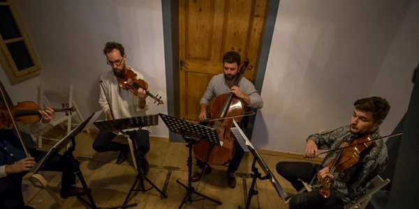 Concerte pe siret-FOTO-Antonela Ghemu