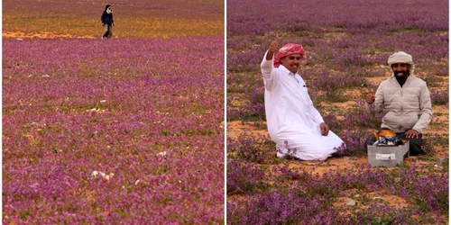 BeFunky collage (18) jpg