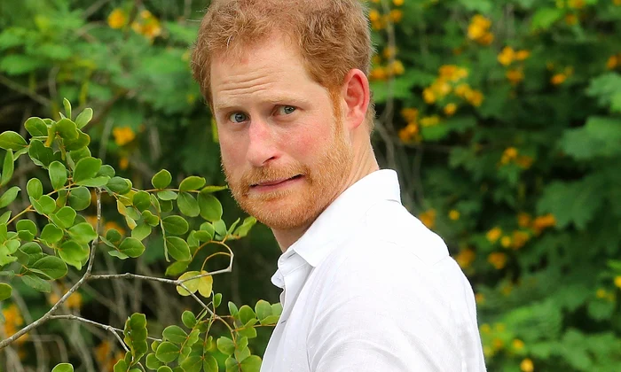 printul harry jpeg