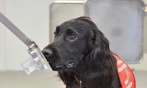 11 special foto2 50 50 spl811196 001 jpeg