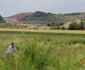 FOTO Autostrada Deva - Lugoj. Un cimitir ilegal încurcă planurile constructorilor. FOTO